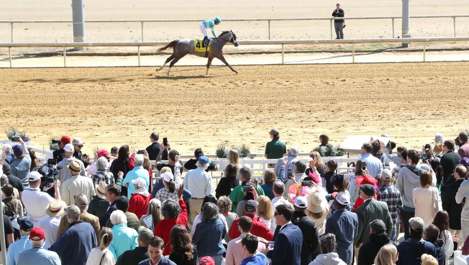 Virginia Derby, betting, gambling, handicapping, Buetane, Grittiness, Epic Desire, Work, High Camp, Lockstocknpharoah, Incredibolt, Confessional, Ocelli, Clocker Special, Walden, Baffert, Cox, trainer, jockey, Prat, Velazquez, horse racing, ABR